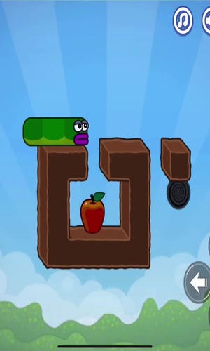 Level 5