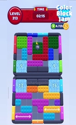 Level 313