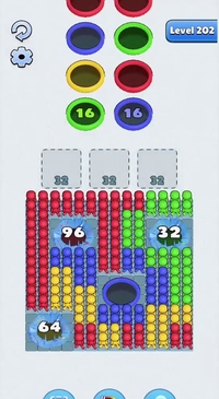 Level 202