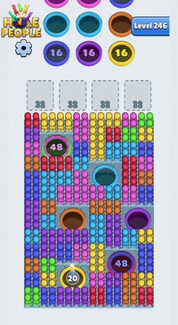 Level 246
