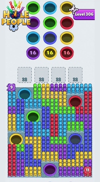 Level 306