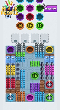 Level 307
