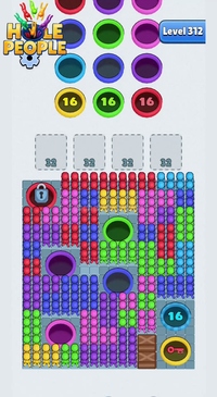 Level 312