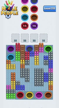 Level 313