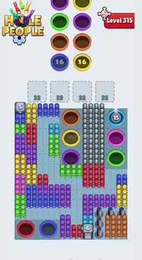 Level 315