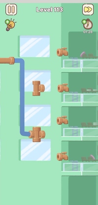 Level 113