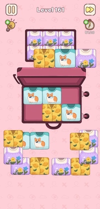 Level 161