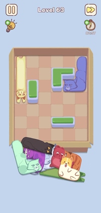 Level 63