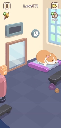 Level 71
